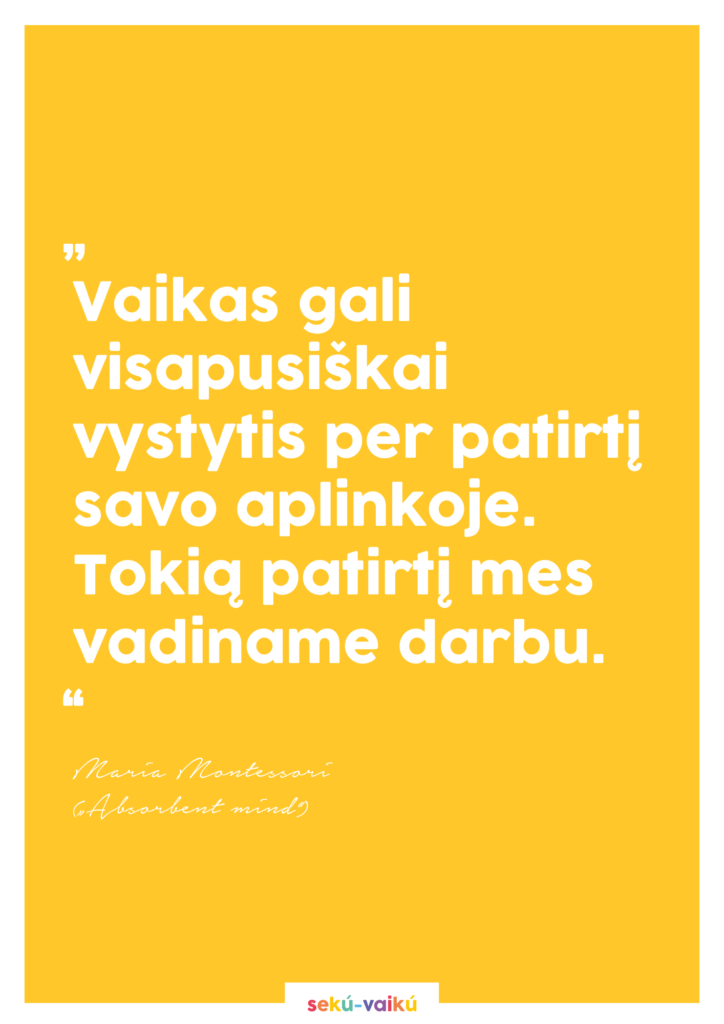 žaislų auditas ir rotacija sekuvaiku suvaiku.lt modern montessori žaislai veiklos namuose